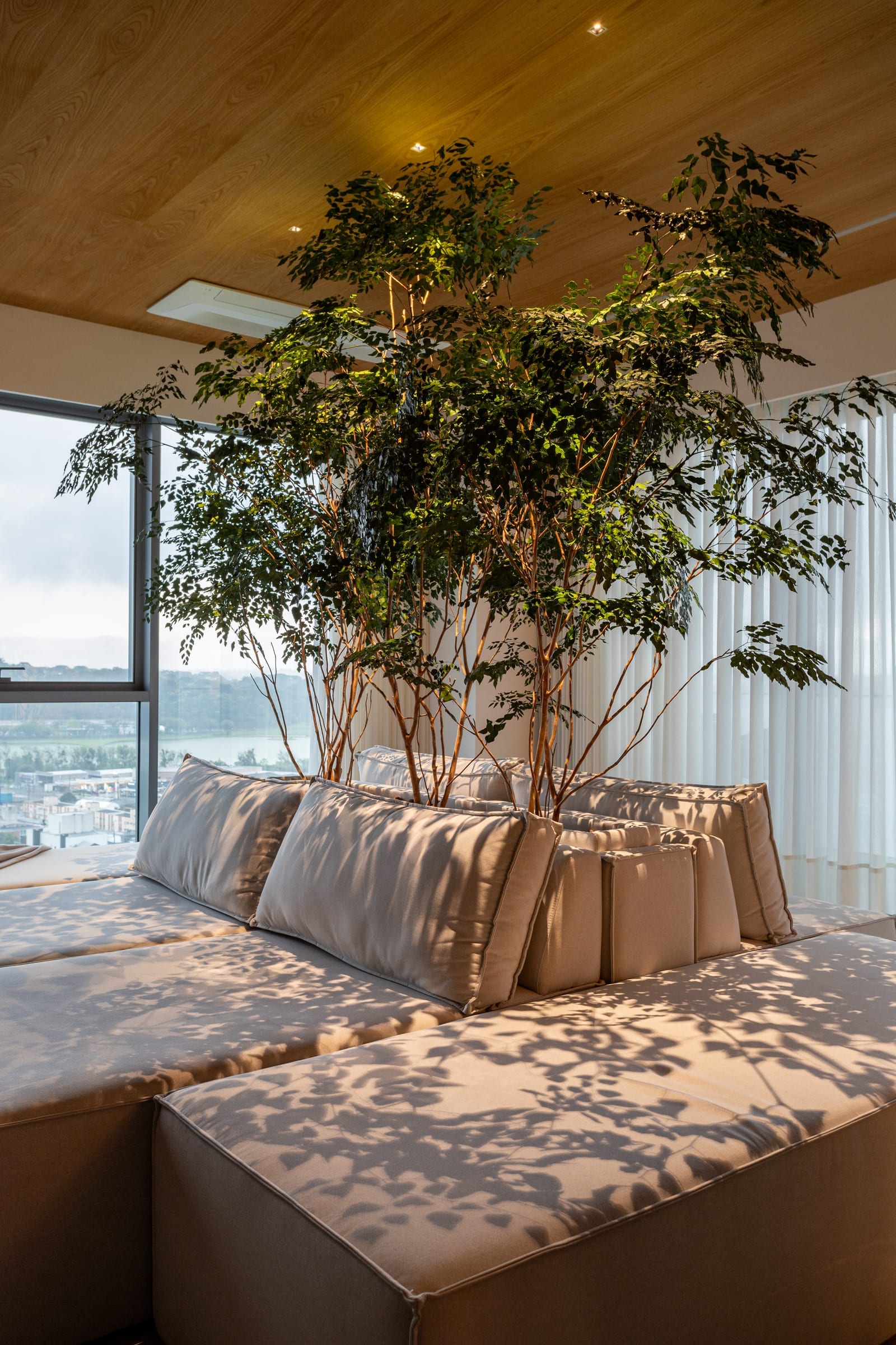 Apartamento MJ
